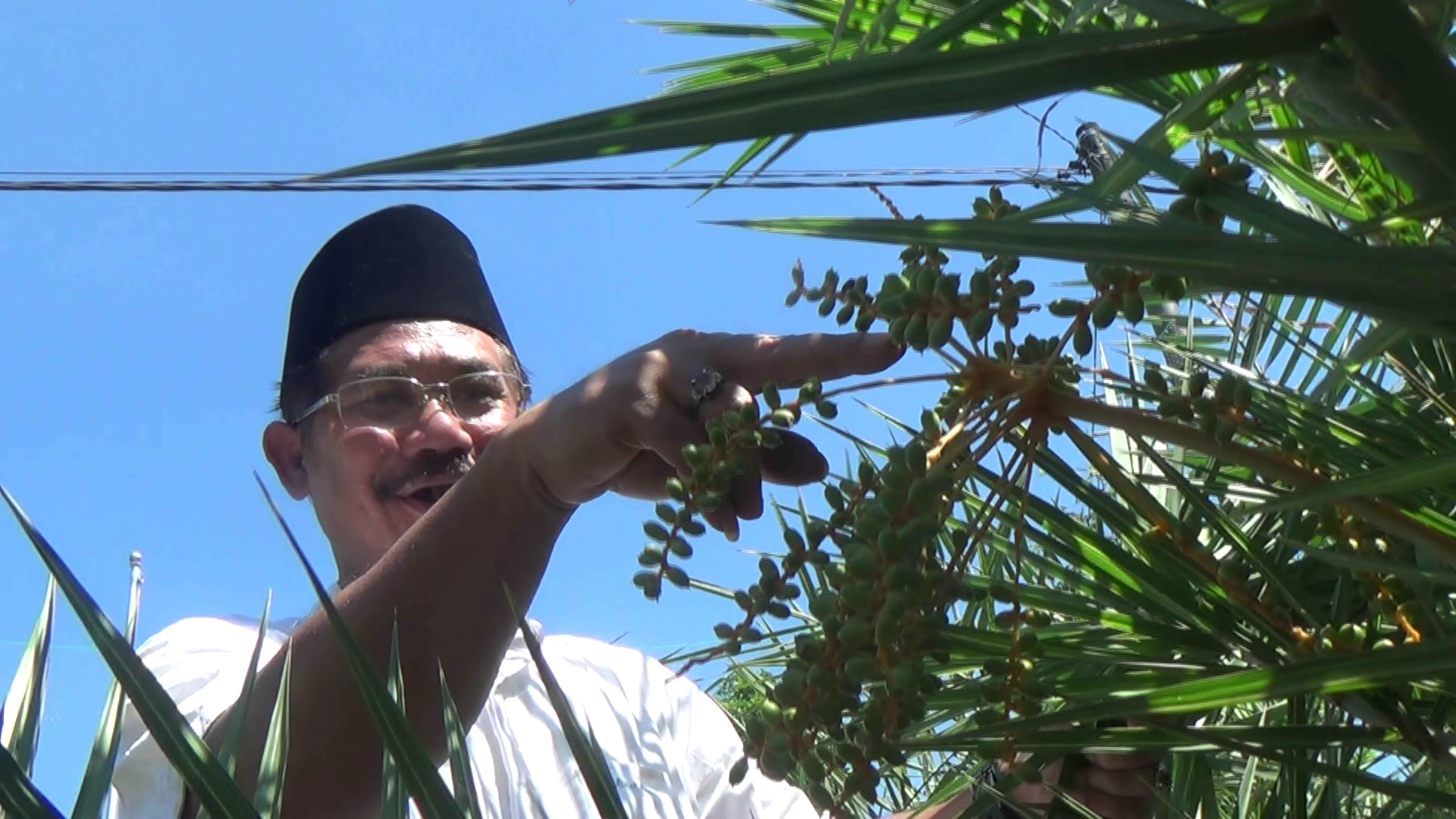 Subhanallah! Ulama’ Kediri Berhasil Membudidayakan Kurma