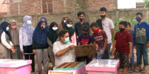 Mengakrabi Lebah di Kampung Madu