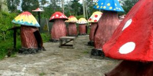 ‘Dongeng’ di Istana Jamur Ngancar