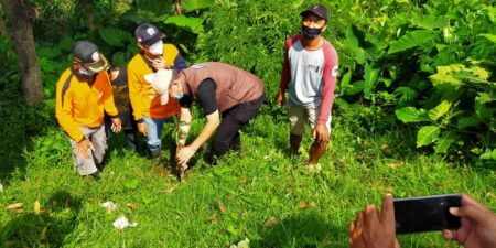 Penghijauan di Waduk Siman ala Aktifis Mitigasi Bencana dan Disabilitas